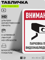Табличка для парковки "Внимание, парковка под видеонаблюдением", для дома, офиса, организаций, 40х30 см, Silver Plane x Айдентика Технолоджи