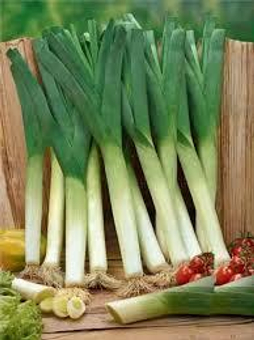 Лук-порей Зимний гигант