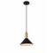 Подвесной светильник Escada 1108/1S Black