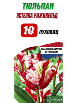Тюльпан Луковица, Эстелла Рижвельд, 10шт
