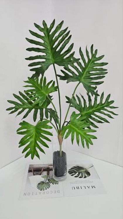 Филодендрон / Арт 6370