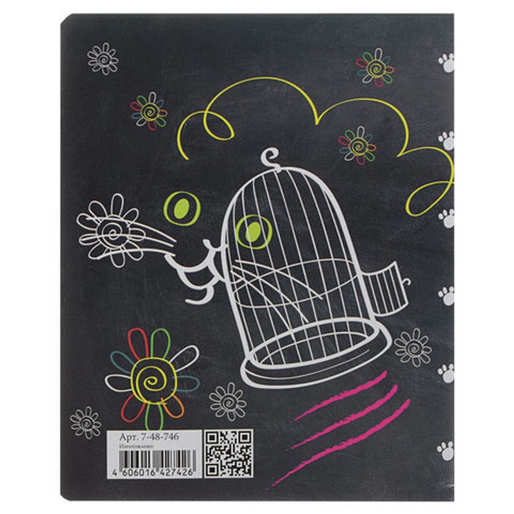 Тетрадь А5 48 л. АЛЬТ скоба, клетка, гибридный лак, "УЧЕНЫЙ КОТ", 7-48-746