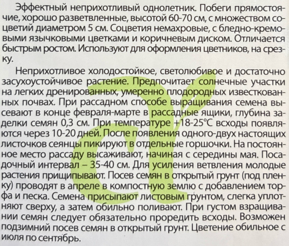 Хризантема Полярная звезда 0,1 г СМЦ-333