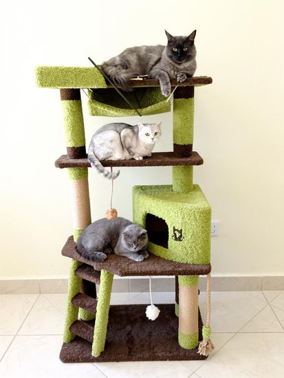 Дом для кота И-8
