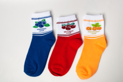 Комплект возрослых носков «Ягоды Карелии», 3 пары