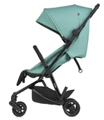 Детская прогулочная коляска Anex AIR-Z Az-02-N ivy