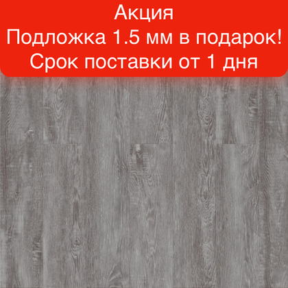 Замковая SPC-плитка Royce Enjoy