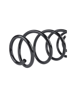 Пружина передняя L R для OPEL Astra G (00-05)/Vectra B (95-03) GANZ GIK02657