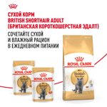 Royal Canin British Shorthair Adult Корм консервированный в соусе для взрослых кошек 85г