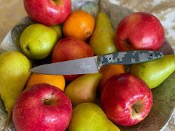 🏆Кухонный нож Alexander M PRO N690 Camo G10