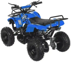 Квадроцикл MOTAX ATV Mini Grizlik X-16 (мех.)