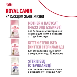 Royal canin kitten сухой корм для котят в период второй фазы роста до 12 месяцев - 1,2 кг