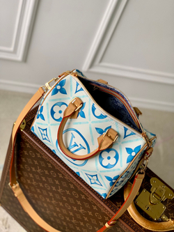 Louis Vuitton Speedy 25