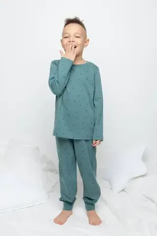 пижама  для мальчика  К 1561/24/темный малахит,палочки