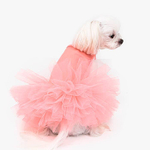 157 PA-DR Платье-пачка "Puppy Angel - TUTU Dress"