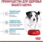Royal Canin Mini Puppy Сухой корм Роял Канин для щенков мини пород, 2 кг