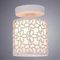Потолочный светильник Arte Lamp Traforato A8349PL-1WH