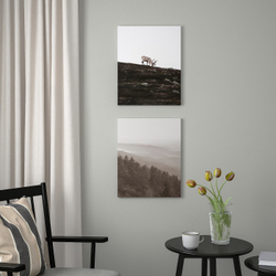 IKEA PJÄTTERYD  (ИКЕА ПЙÄТТЕРЙД)  -  Изображение, странствующий олень, 40x50 см