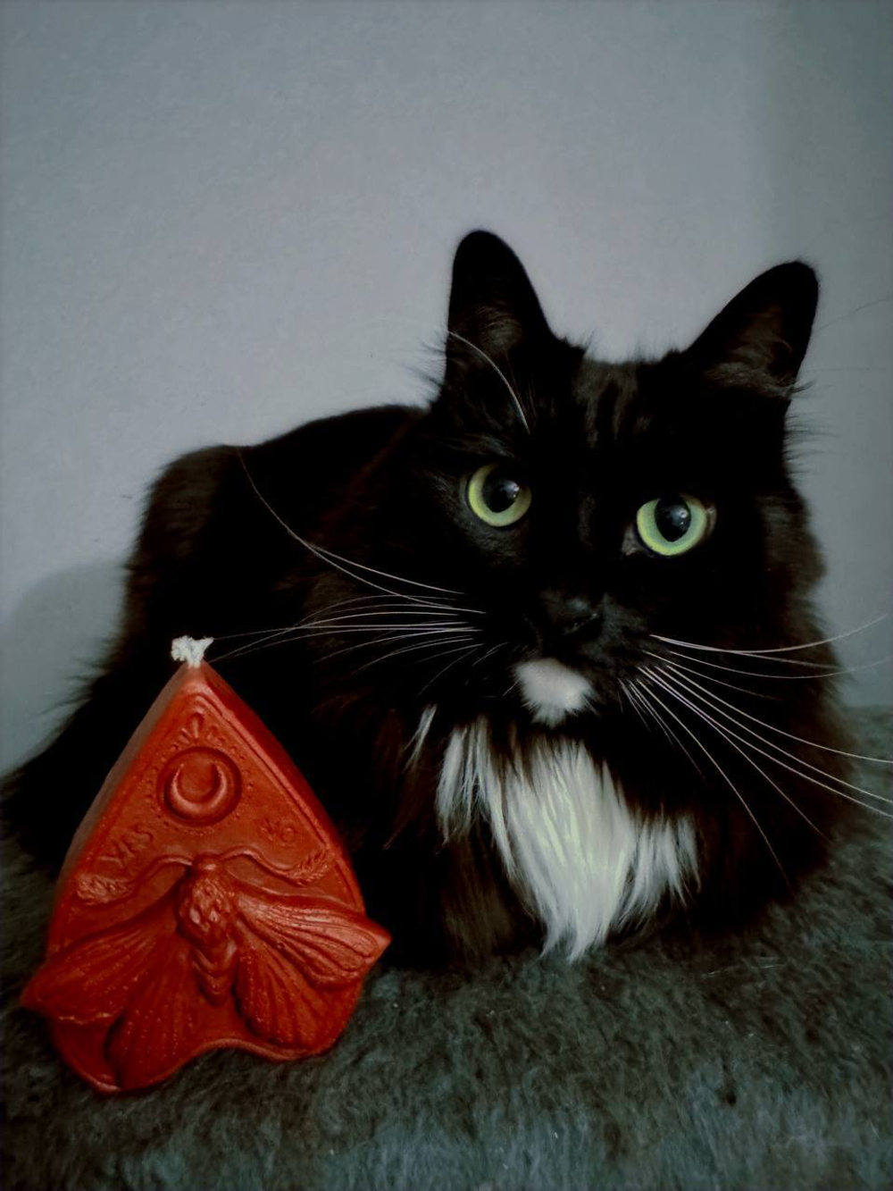 БРАЖНИК — 45° Luna свечи для waxplay