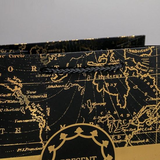 Пакет ламинированный вертикальный Gold present, MS 18 × 23 × 10 см 4733865