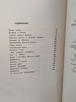 Конго глазами художника