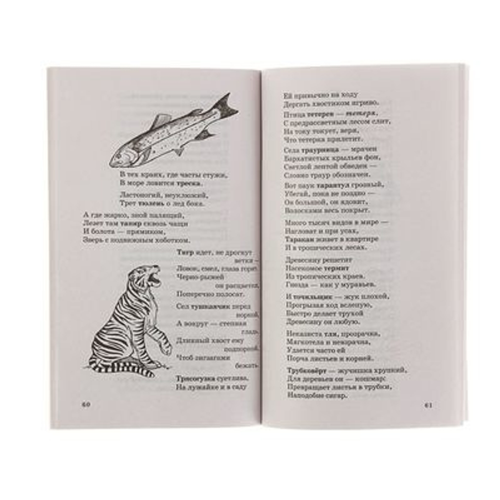 500 загадок и стихов о животных для детей