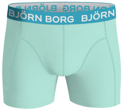 Мужские спортивные боксеры Björn Borg Essential Boxer 1P - Мятный