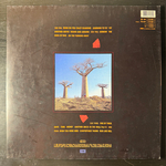 Pink Floyd - Delicate Sound Of Thunder 2LP (Европа 1988г.)