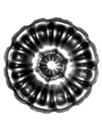 Кованая накладка D 63 мм. толщина 1,2 мм. Вес 0.035 кг.