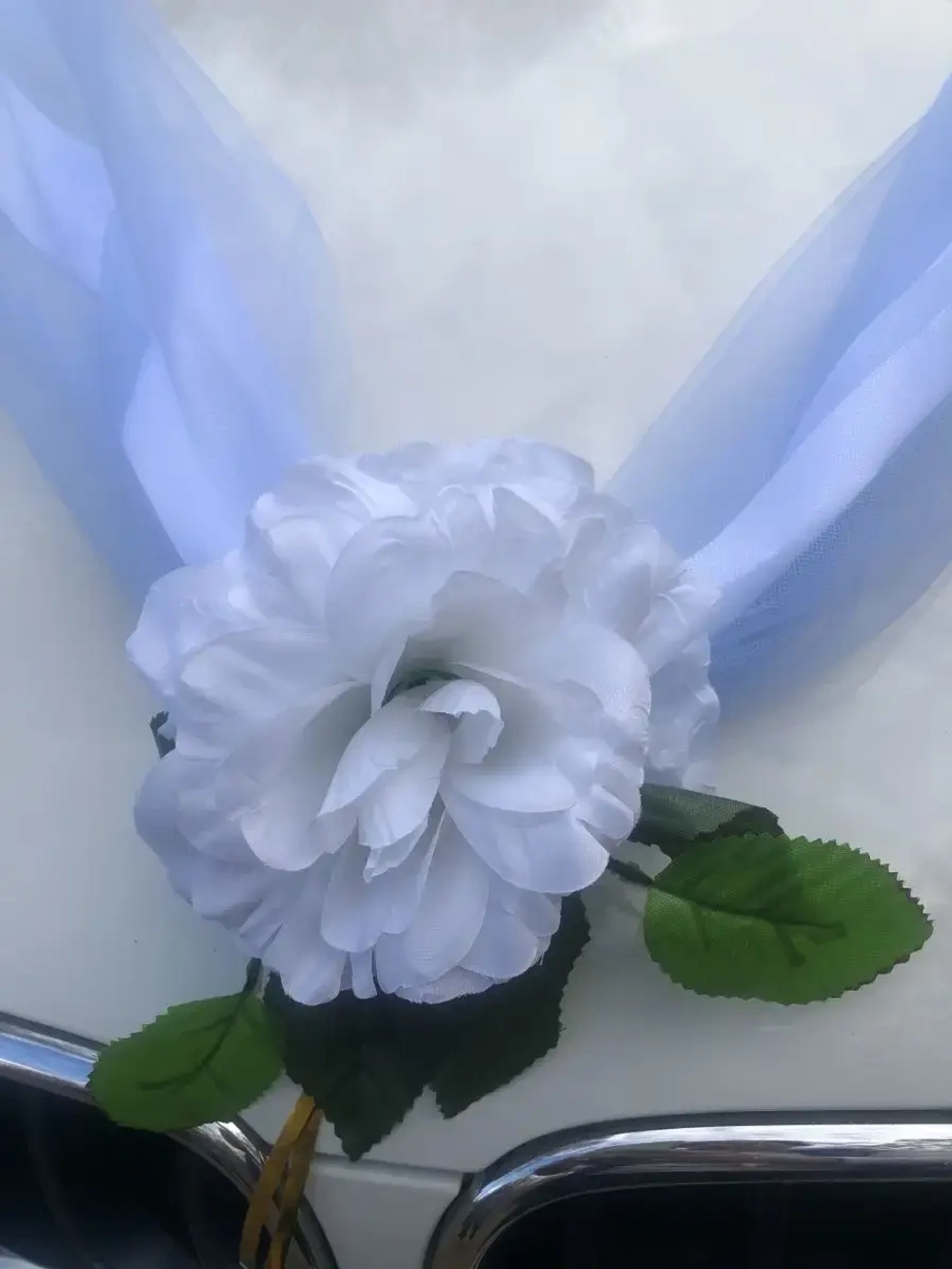 Лента на капот