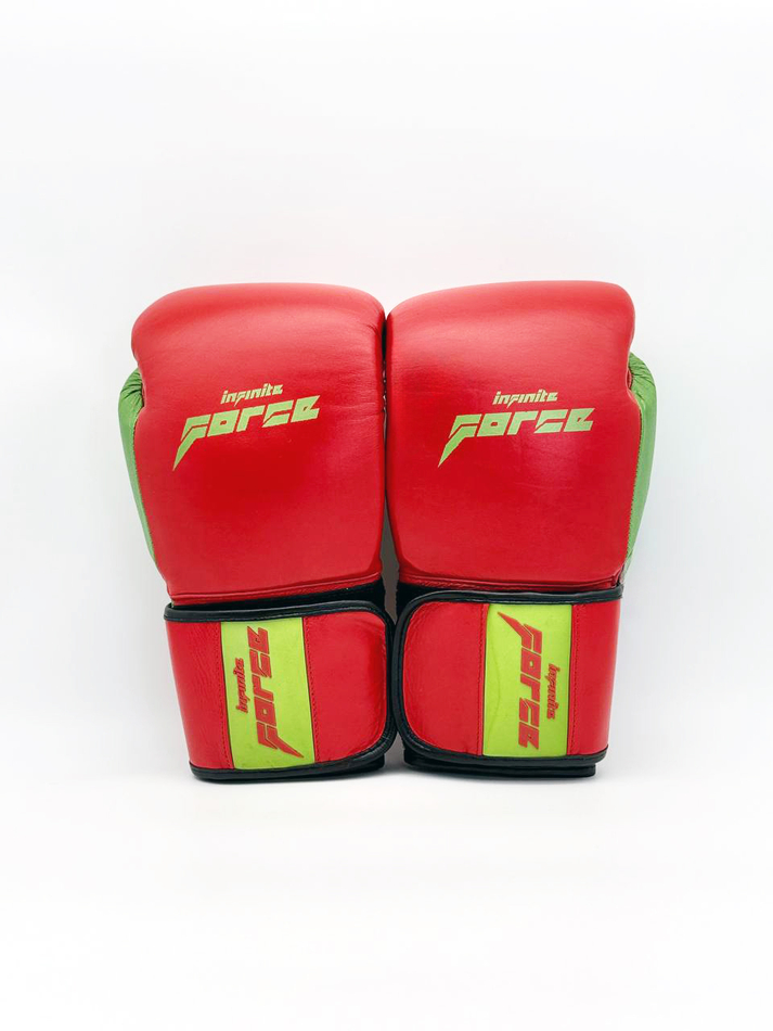 Боксерские перчатки Infinite Force Wild Hunter