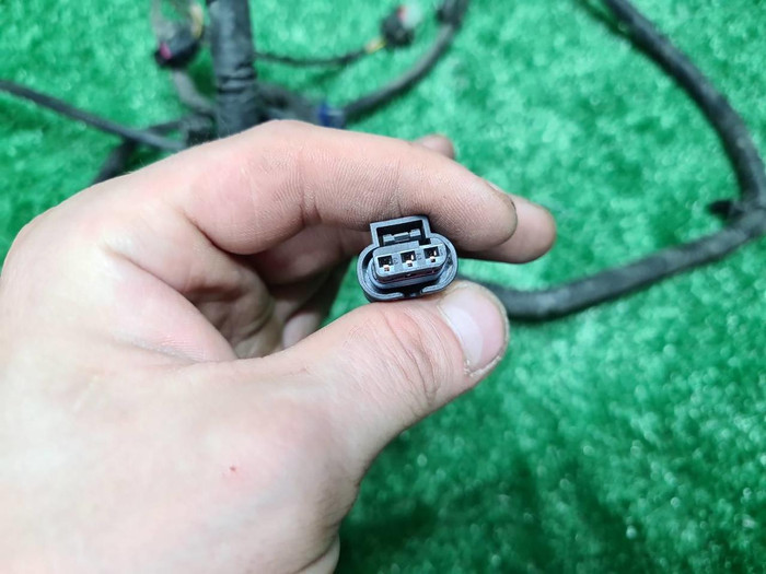 Проводка переднего бампера Haval Dargo (2022-н.в.)