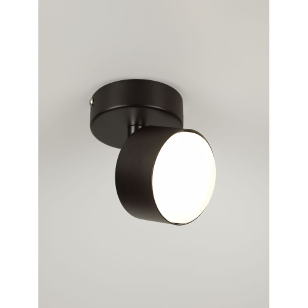 Светильник настенно-потолочный спот Rivoli Alesta 7079-701 1хGX53 15 Вт поворотный | Rivoli