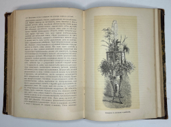 Гесдерфер М. Комнатное садоводство. СПб. Изд. Девриена, 1898г.