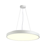 7755 (7757)/L SN 539 Подвесное крепление для светильника QUASAR LED металл/белый 1,5м QUASAR