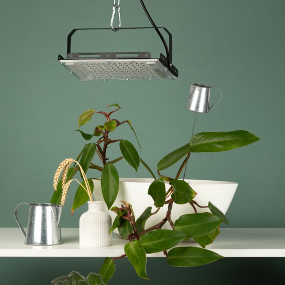 Фитопрожектор для растений светодиодный ЭРА FITO-80W-Ra90-LED-Y полного спектра | Фито прожекторы