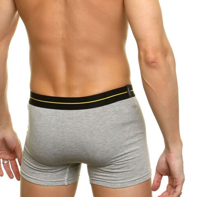 Серые хлопковые трусы-боксеры (Размер: XXL) (Цвет: серый)
