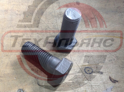 Болт M20*2,5*55 S0172005NBY