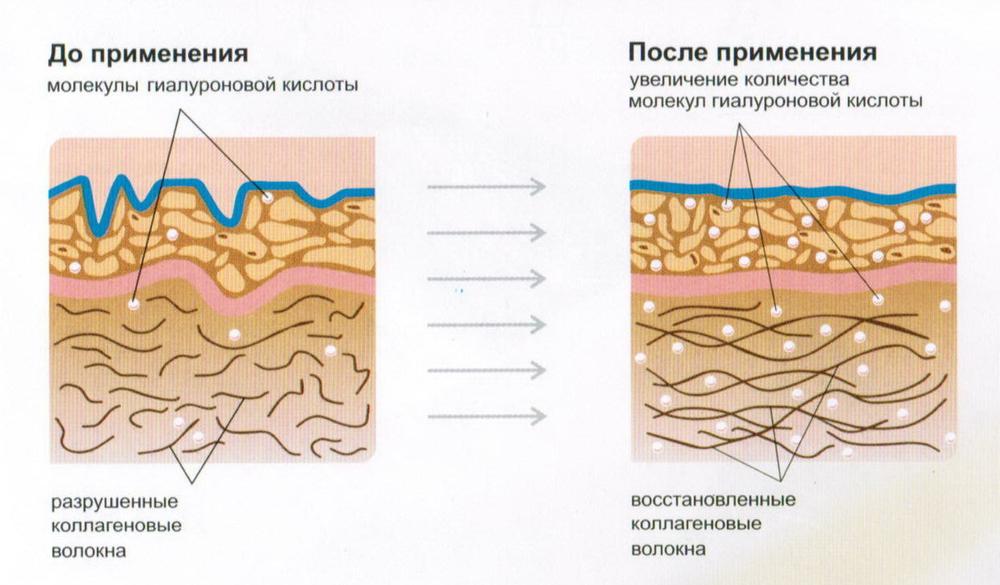 Коллаген говяжий (MegaProtein)