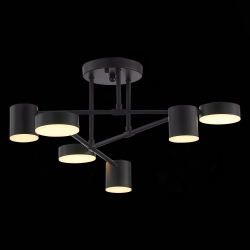 Светильник потолочный Evoluce Nobel SLE201042-06