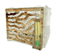 Муравьиная ферма с муравьями Стандарт "Дерево" (190*160*165 мм)