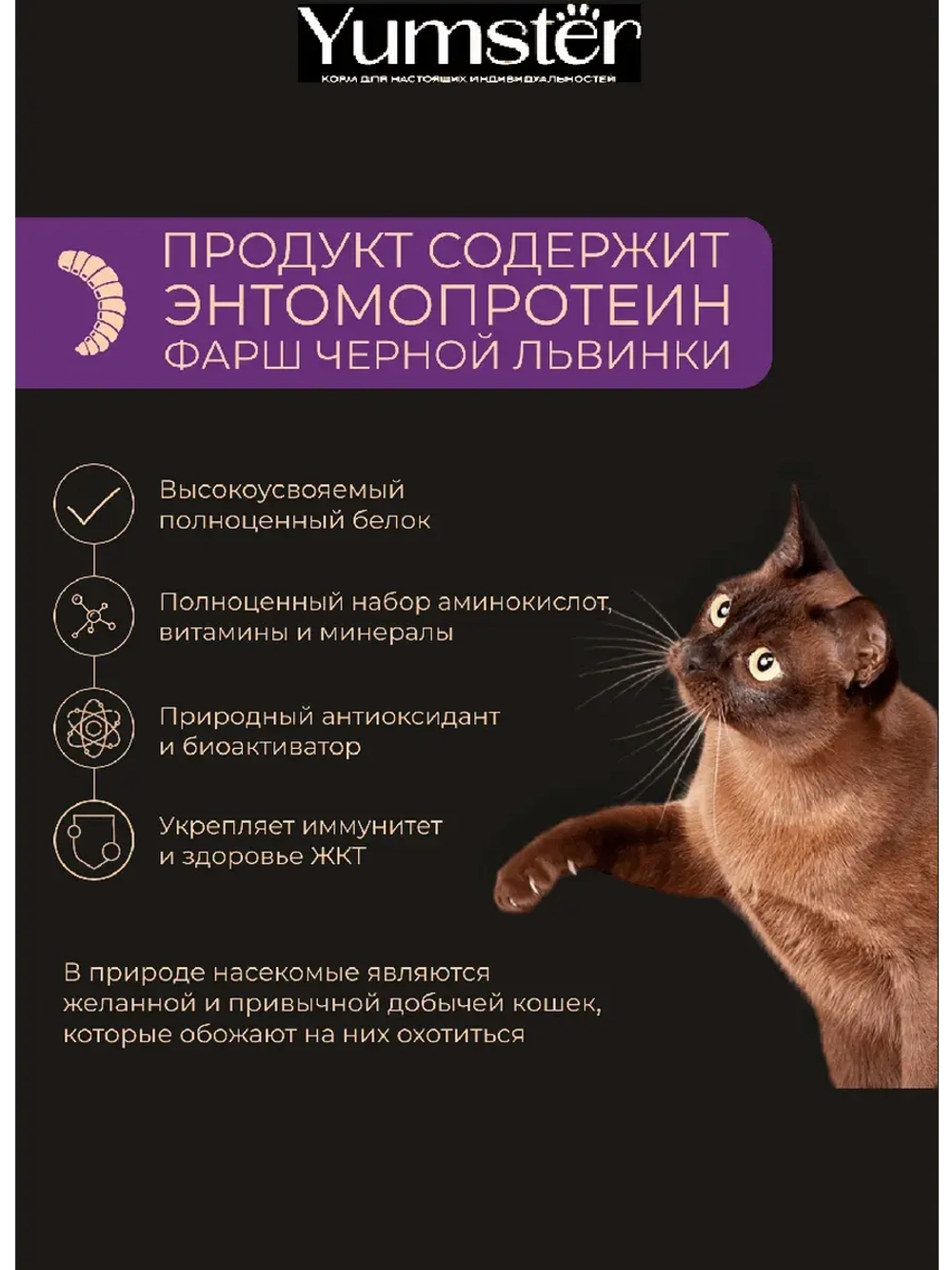 Влажный корм для кошек мясные кусочки, Лосось 85г х 24шт