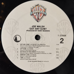 Винтажная виниловая пластинка LP Joe Walsh Got Any Gum (USA 1987) The Radio Song