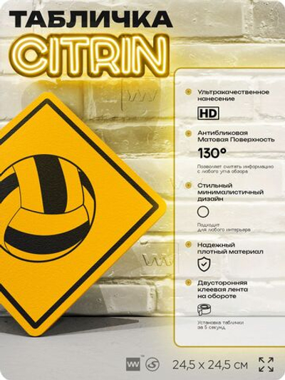 Табличка декоративная "Волейбольный мяч" на дверь и стену, спортивная, информационная, декоративный знак, 24,5х24,5 см, пластиковая, Айдентика Технолоджи
