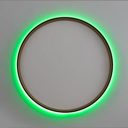 Накладной светильник Citilux ETALON CL750401R