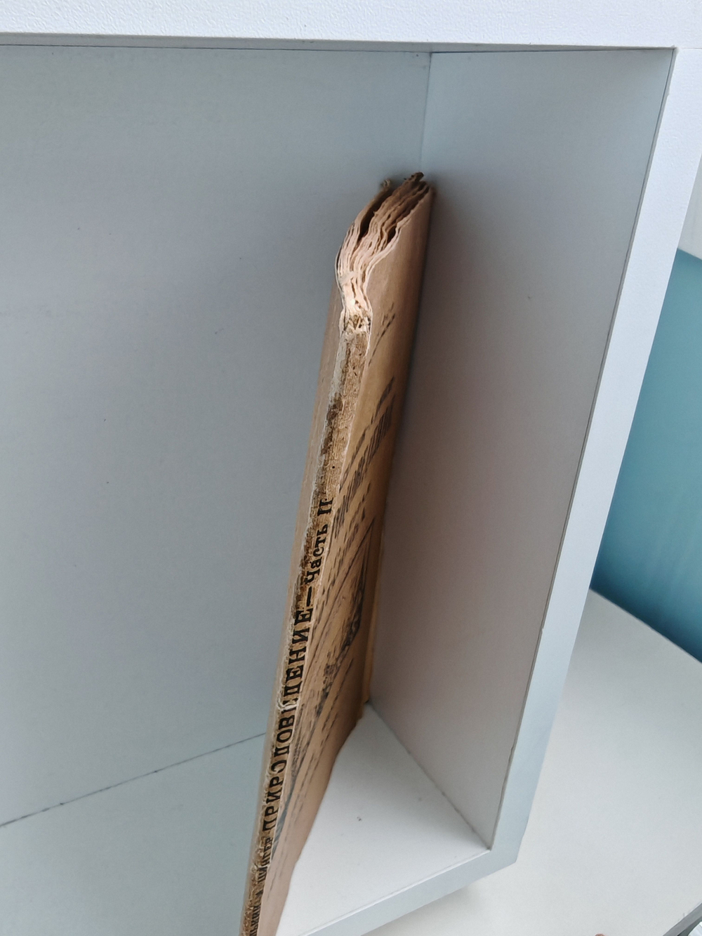 Природоведение. Учебник для школ I ступени. Ботаника