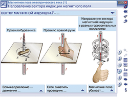 Физика. Электромагнетизм