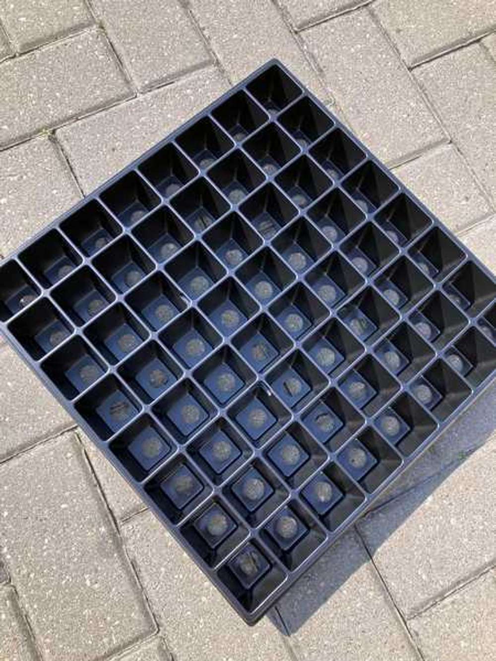 Кассета для рассады 64 ячейки