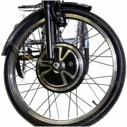 Трехколесный электровелосипед E-motions KANGOO-RU 750