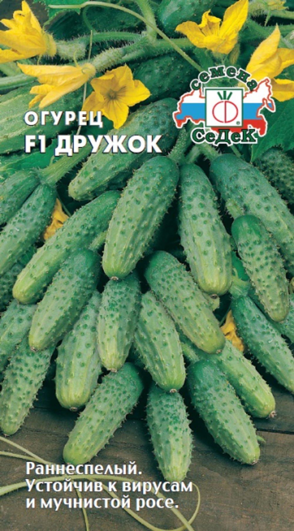 огурец Дружок F1